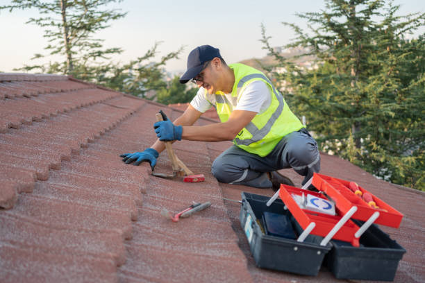 Best Roof Gutter Cleaning  in Rmichael, CA